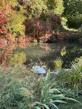 View of local wilderness