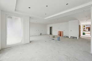 Unfurnished room featuring a raised ceiling