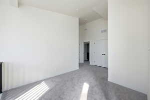 Spare room with a high ceiling and carpet flooring