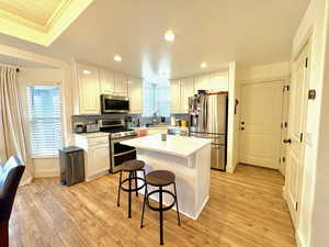 Kitchen with recessed lighting, stainless steel appliances, backsplash, a sink, and white cabinetry