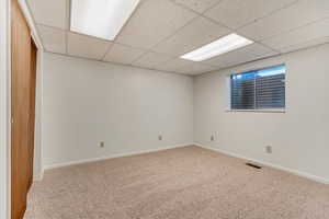 Basement bedroom