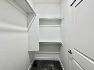 Spacious closet with dark colored carpet