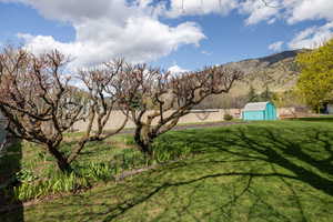 View of yard with an outdoor structure, a shed, and a mountain view