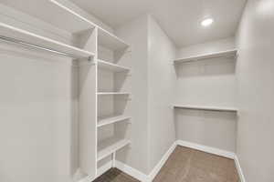 Primary Walk in closet.