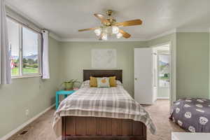 Bedroom with multiple windows, visible vents, and light carpet