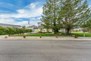 View of property hidden behind natural elements featuring a front lawn
