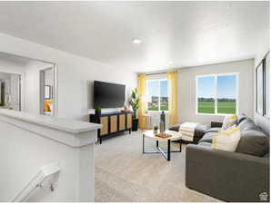 Living area with light carpet