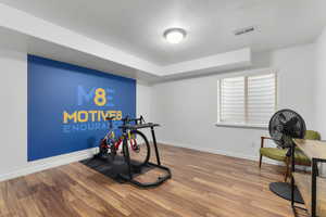Basement bedroom #2 with large window