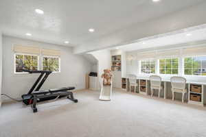 Workout room featuring a wealth of natural light, carpet floors, baseboards, and recessed lighting