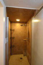 Basement Bathroom with a walk in Shower