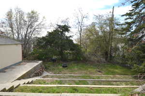 View from the house looking at the back yard entertaining space