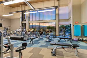 Workout area with a towering ceiling, carpet, and a mountain view