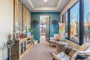 Living area featuring visible vents, carpet, and a raised ceiling