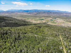 Aerial view with a forest view and a mountain view