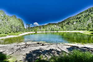 View of water feature with a forest view
