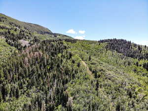 View of mountain feature with a view of trees