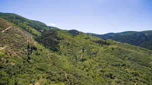 Property view of mountains with a view of trees