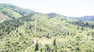 Property view of mountains with a view of trees