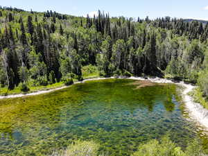 Water view with a forest view