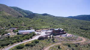 Aerial view featuring a forest view and a mountain view