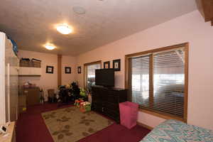 Bedroom with carpet and a textured ceiling