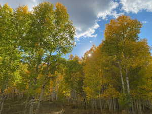 View of landscape with a forest view