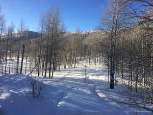 Yard covered in snow with a mountain view