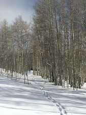View of yard covered in snow