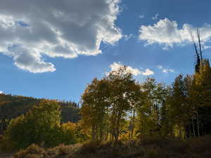 View of nature with a wooded view