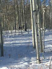 View of yard layered in snow