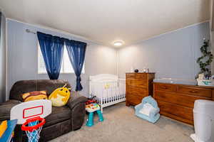 Carpeted bedroom with a decorative wall