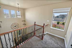 Stairs featuring carpet floors