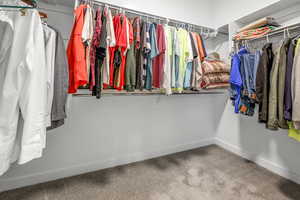 Spacious closet featuring carpet floors
