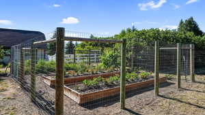 View of yard with a vegetable garden