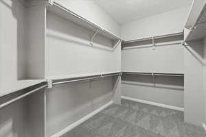 Primary Bedroom Closet