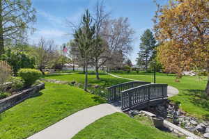 View of community with a lawn