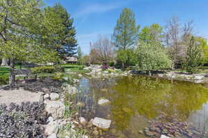 View of water feature