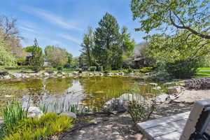 Water view
