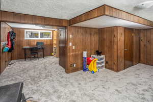Interior space with wood walls, carpet, and a textured ceiling
