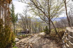 Photo 41 of 391  BERN DR
