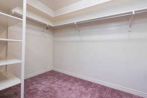 Walk in closet with carpet floors