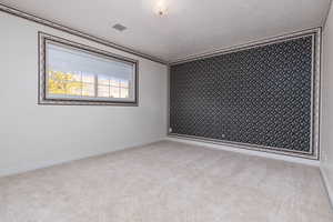 Carpeted empty room featuring baseboards, a textured ceiling, and visible vents