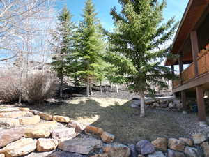 View of yard featuring mature trees