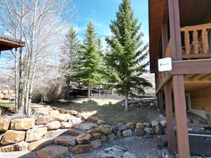 View of terraced yard, mature trees, firepit