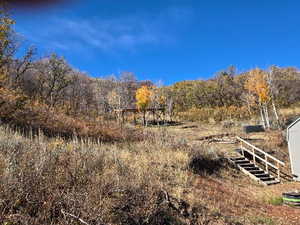 View of stairs/pergola