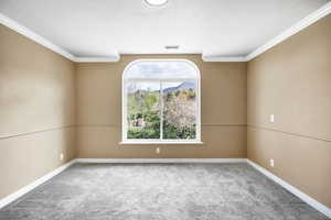 Empty room featuring baseboards, visible vents, crown molding, and carpet flooring
