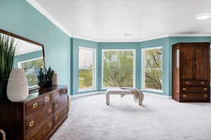 Carpeted bedroom with crown molding and baseboards
