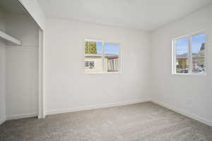 Unfurnished bedroom with baseboards, carpet floors, multiple windows, and a closet