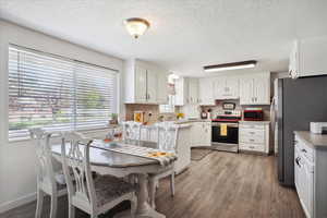 Kitchen with light wood-style flooring, stainless steel appliances, under cabinet range hood, a sink, and a textured ceiling