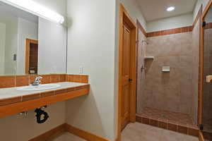 Bathroom on the lower level with walk in shower and sauna